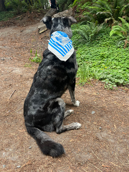 Summer Picnic Bandana