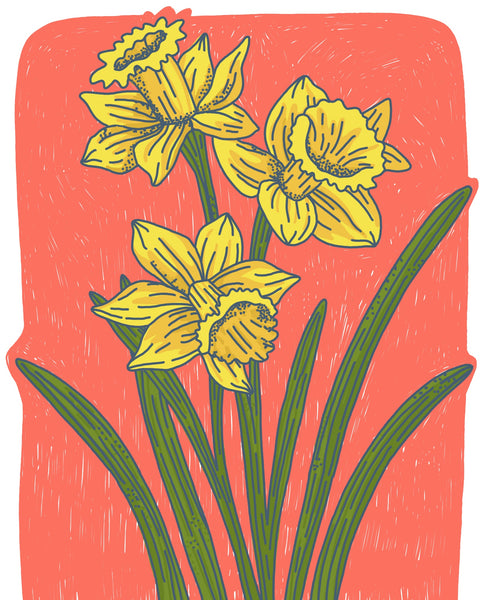 Illustration Workshop