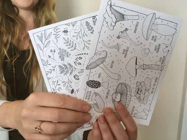 Colorable Humboldt County Postcard