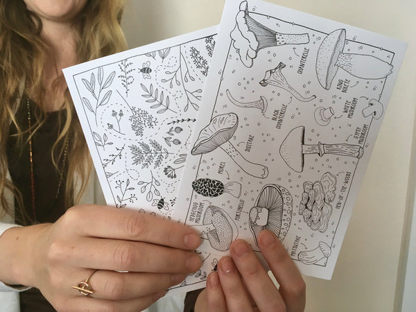 Colorable Ferns Postcard