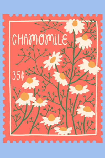 Wildflower Postcard Pack