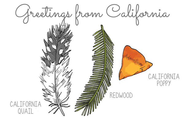 Greetings from California Postcard