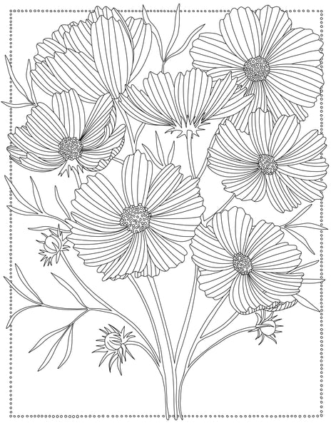 Coloring Through the Year | Coloring Book