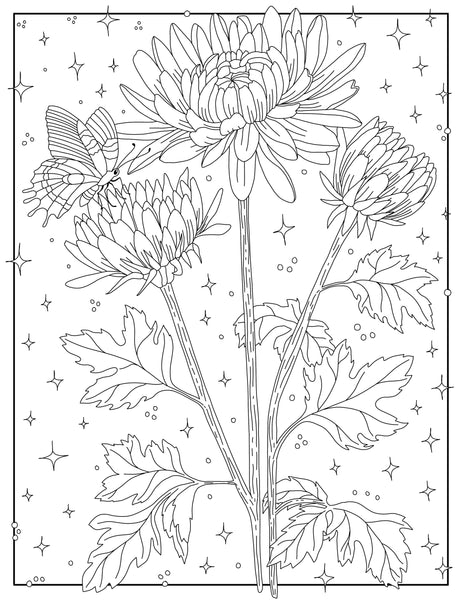 Coloring Through the Year | Coloring Book