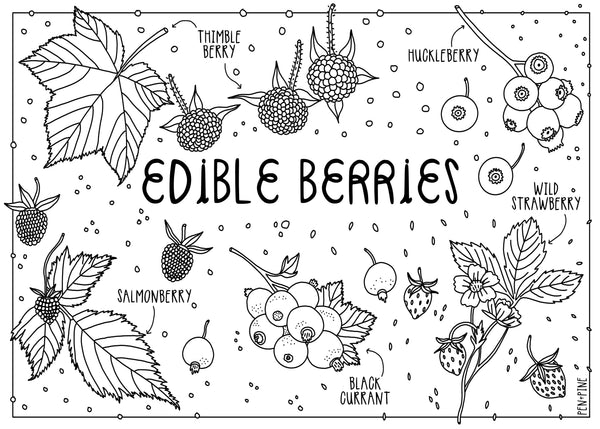 Edible Berries Coloring Postcard