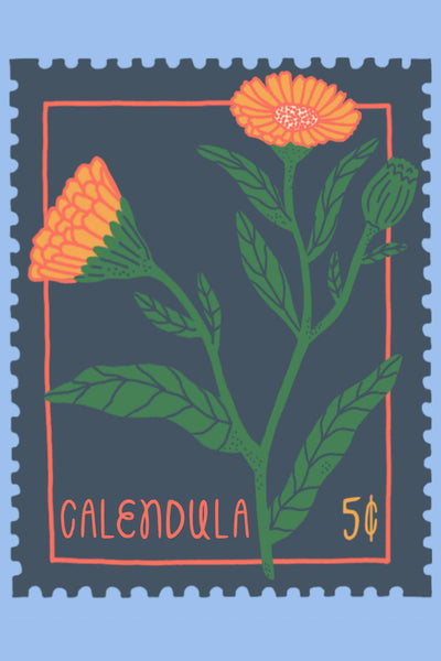 Wildflower Postcard Pack