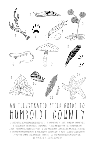 Humboldt County Field Guide Print