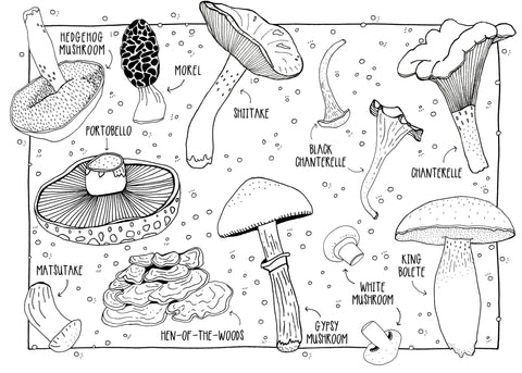 Colorable Mushrooms Postcard