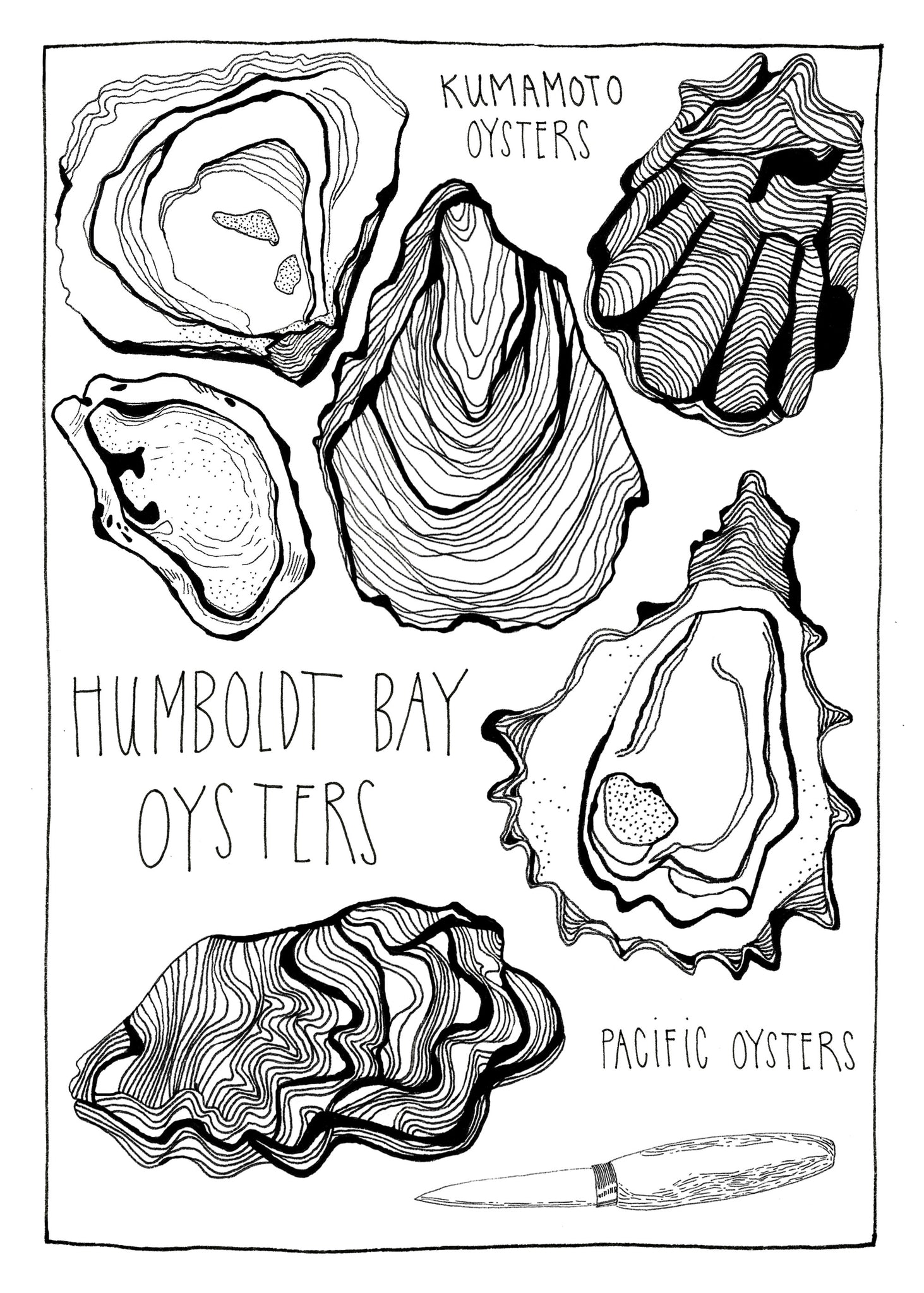 Colorable Oysters Postcard